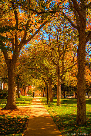 Fall Colors Outside Clements