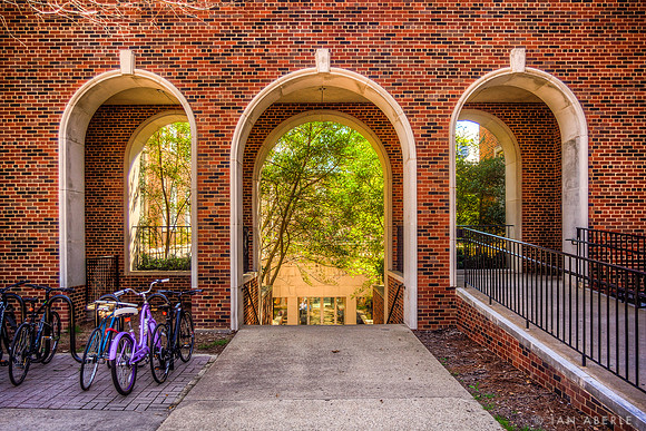 Arches