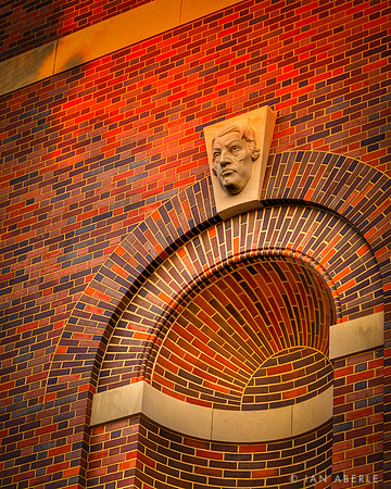 The Face of the Library