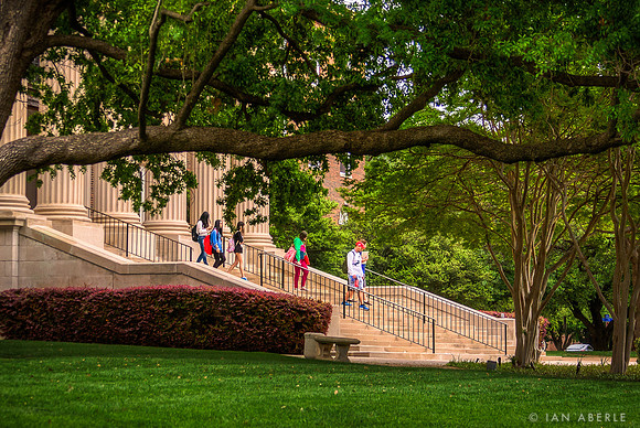 Students just out of class