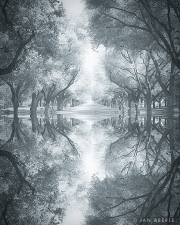 Reflecting on Bishop